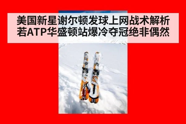 美国新星谢尔顿发球上网战术解析 若ATP华盛顿站爆冷夺冠绝非偶然